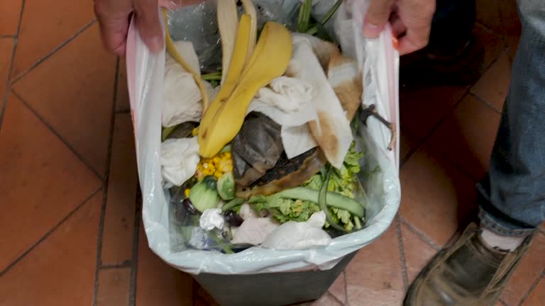 Best Yard Waste Removal  in Carlisle Rockledge, AL